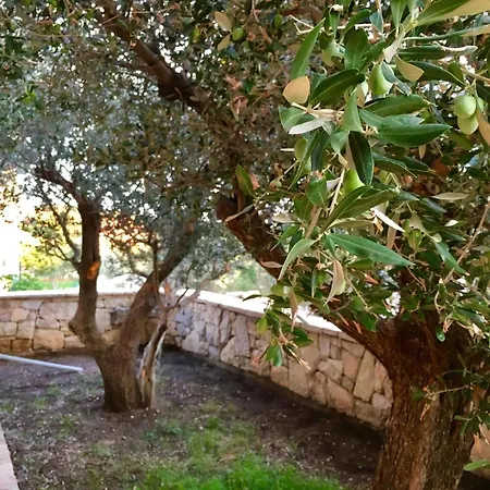 Wunderschoenes In Mit Balkon Apartment Maslenica